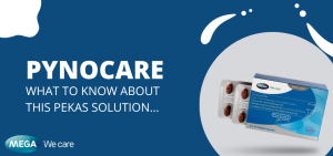 Pynocare: What to Know About this Pekas Solution